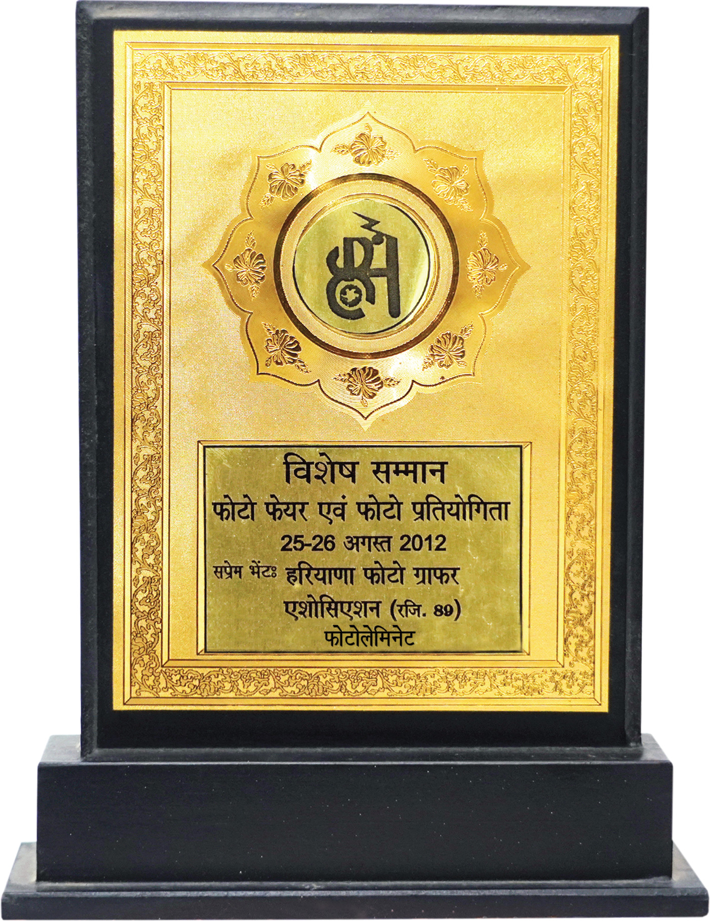 HARYANA PHOTOGRAPHIC ASSOCIATION PHOTOFAIR AWARD IN 2012-1